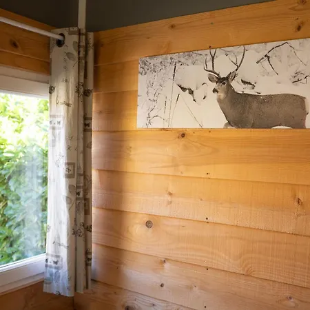 Montana 3- 4pers בקתה *